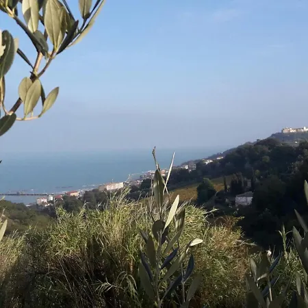 Fiorentina E La Costa Dei Trabocchi
