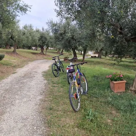 Fiorentina E La Costa Dei Trabocchi Appartement *