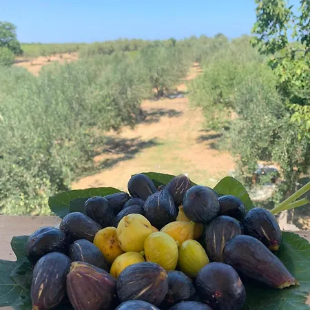 Fiorentina E La Costa Dei Trabocchi * Marina di San Vito