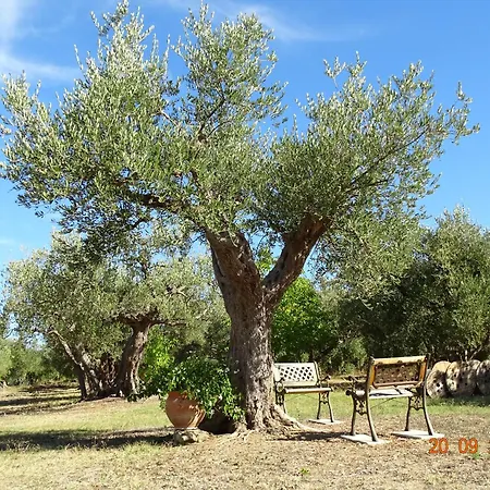 Fiorentina E La Costa Dei Trabocchi