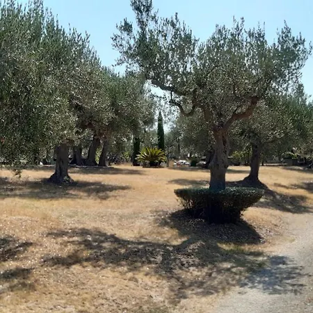 Apartmán Fiorentina E La Costa Dei Trabocchi *