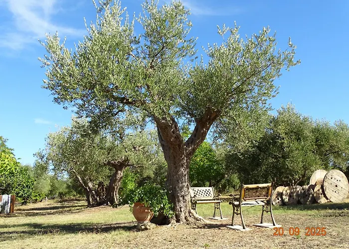 Fiorentina E La Costa Dei Trabocchi