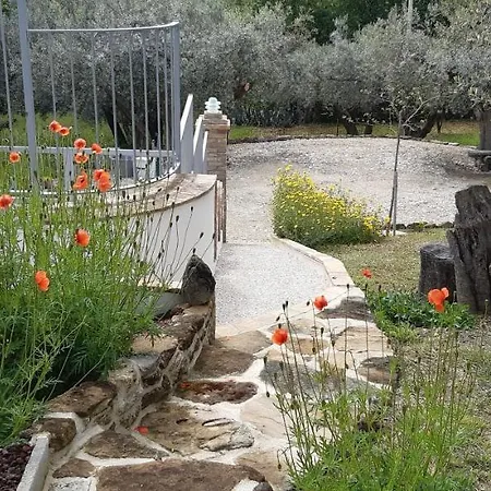 Fiorentina E La Costa Dei Trabocchi