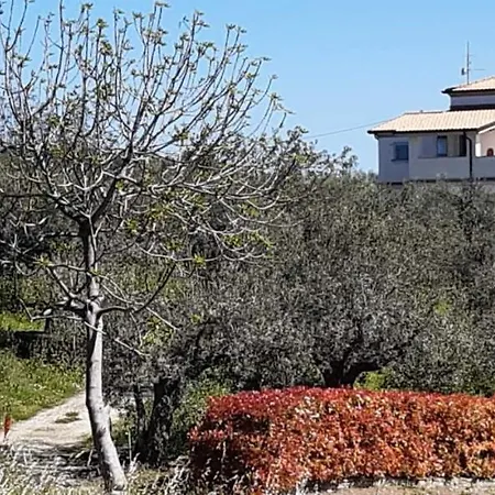 Apartment Fiorentina E La Costa Dei Trabocchi