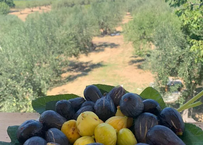 Fiorentina E La Costa Dei Trabocchi * Marina di San Vito